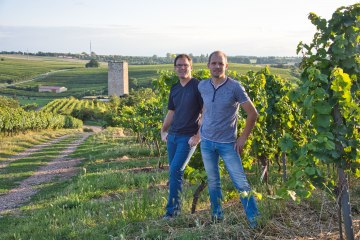 Weingut Georg Gustav Huff_Winzer im Weinberg, © Weingut Georg Gustav Huff