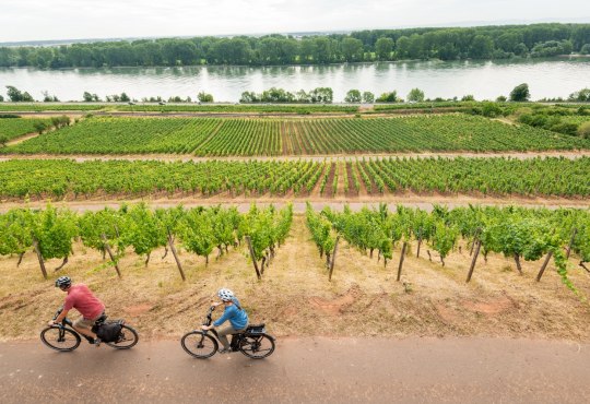 Radfahren am Roten Hang mit Blick auf den Rhein, © Dominik Ketz