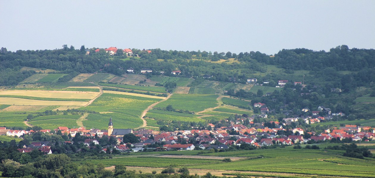 FamilienWeinGut Feser_Panorama, © FamilienWeinGut Feser