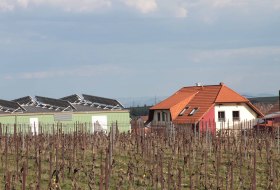 Weingut Groebe am Bergkloster_Weingut © Weingut Groebe am Bergkloster