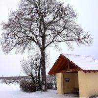 2018 (6) Winter © Weingut Butzbach