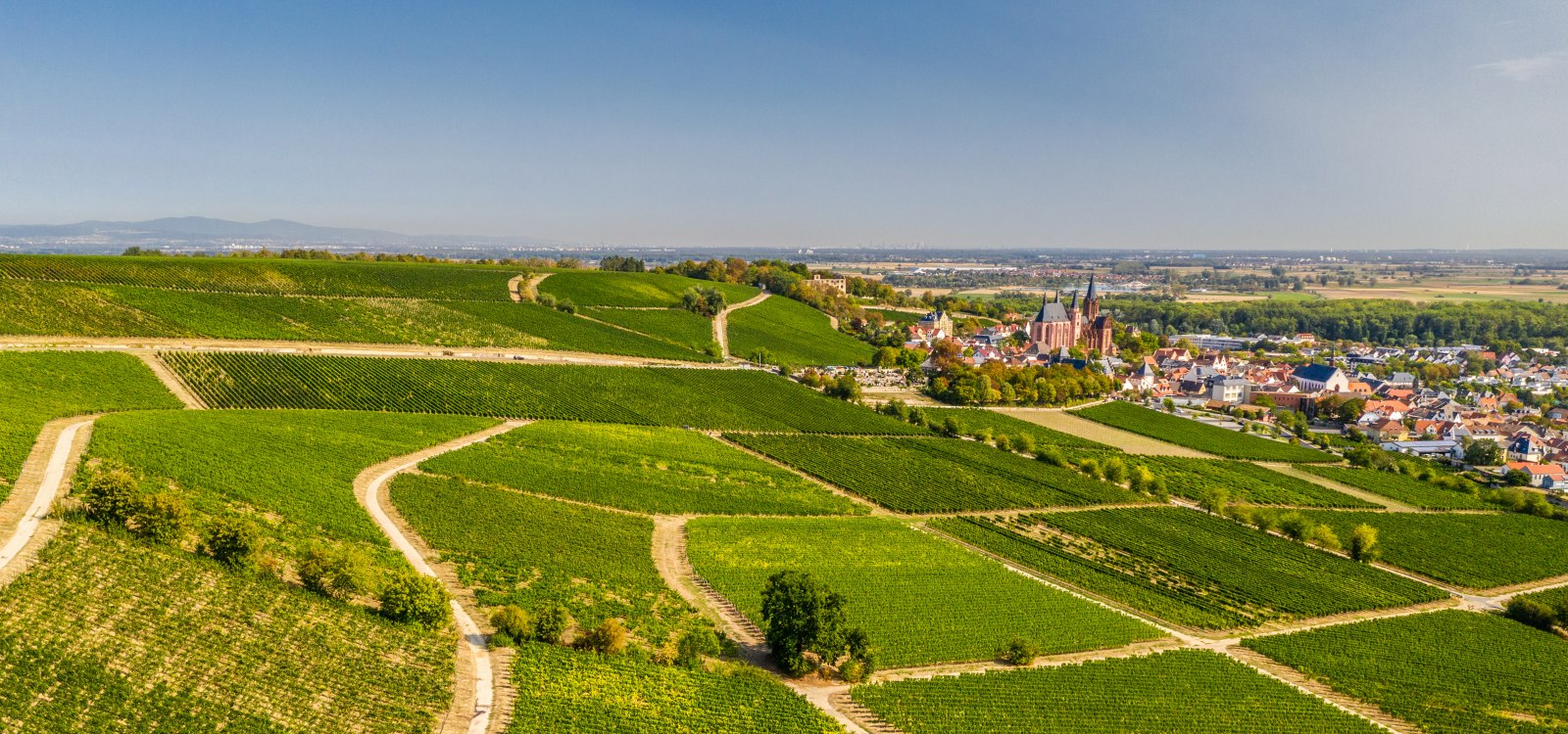 Panoramisch uitzicht op Oppenheim, © CC BY SA 4.0 Dominik Ketz