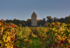 Bismarckturm mit Blick von den Weinbergen © Rainer Oppenheimer/Stadt Ingelheim