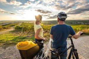 Weinpanorama bei Sonnenuntergang, © Dominik Ketz