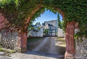 Schloss und Prauenmühle © Stadt Ingelheim/ml