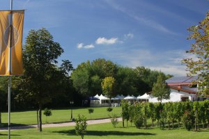 Weingut Fischborn Bergeshof_Garten, © Weingut Fischborn Bergeshof