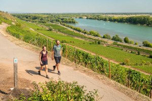 Wandelend stel met uitzicht op de Rijn, © Dominik Ketz