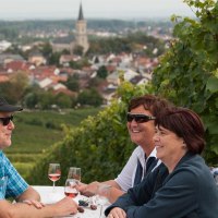 Weinprobe am Weinlehrpfad 3