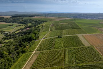 Nieder-Hilbersheimer Steinacker-011 Kopie