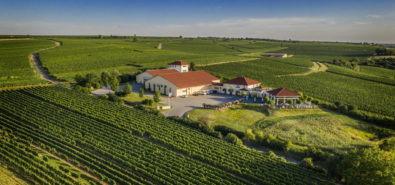 Weingut Raddeck Nierstein, © Weingut Raddeck