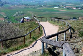 04 April 1.2 © Weingut Butzbach