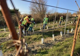 Kinderwingert in Sulzheim