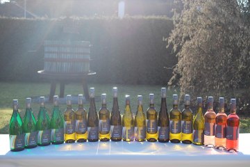 28164699_927383347430570_8890786329750878347_o, © Weingut Siebenhof