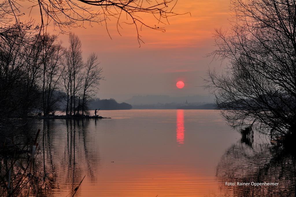 Rheinauen bei Ingelheim 2