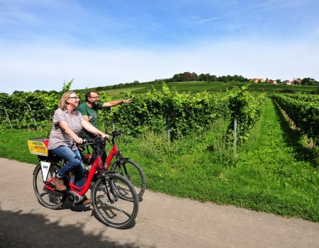 Auf dem Zellertalradweg, © Carsten Costard