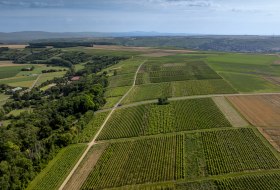 Nieder-Hilbersheimer Steinacker © Torsten Silz