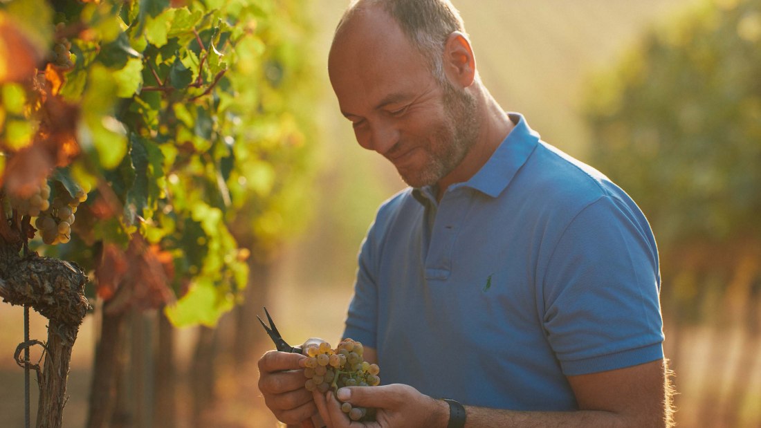 Weingut Dr. Koehler_Christian Dreißigacker, © Weingut Dr. Koehler