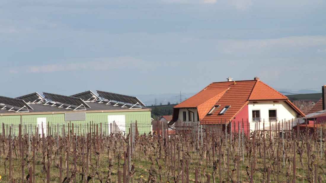 maat1, © Weingut Groebe am Bergkloster