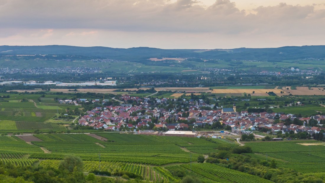 FamilienWeinGut Feser_Jakobsberg, © FamilienWeinGut Feser