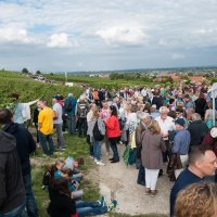 Weinprobe wandern xxx © Martin Kämper/Rheinhessenwein e.V.