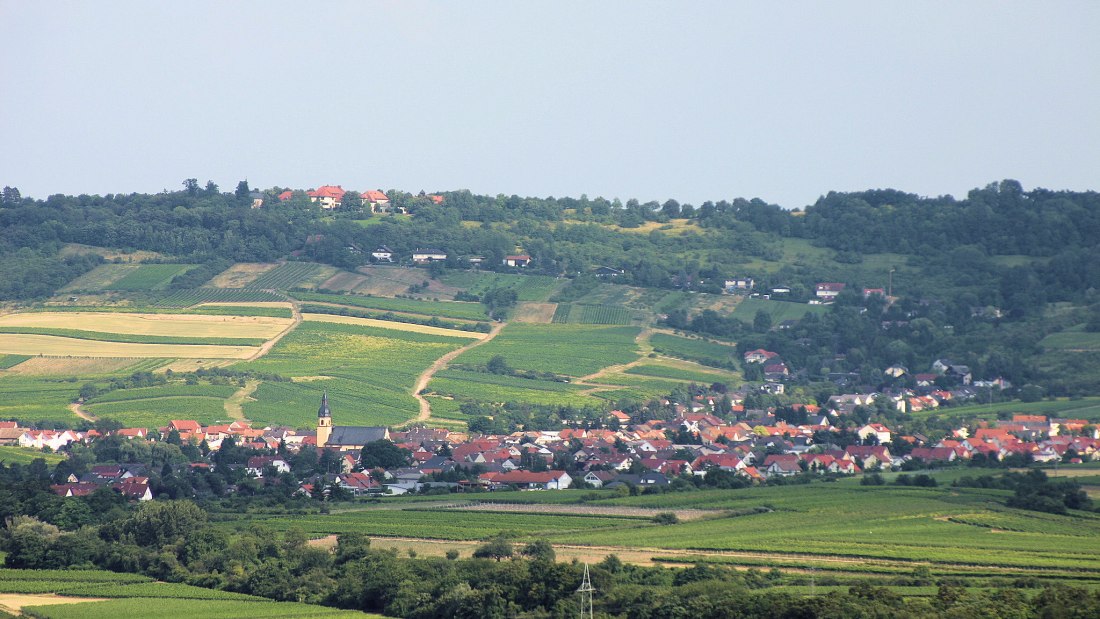 FamilienWeinGut Feser_Panorama, © FamilienWeinGut Feser