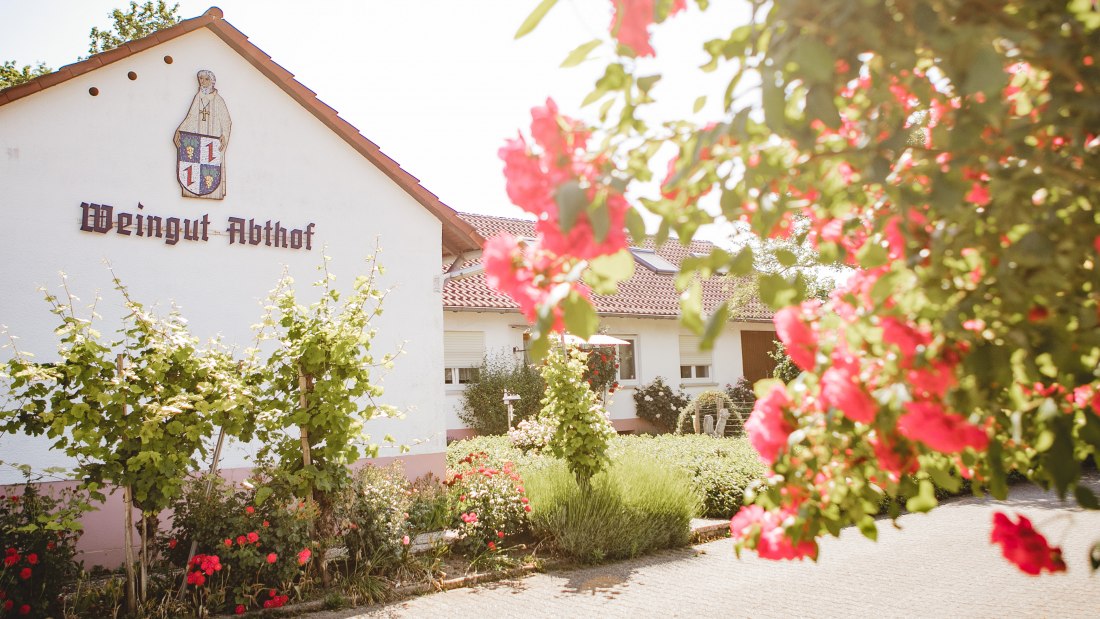 Weingut-Abthof-Juni-2021-DRUCK-203, © Weingut Abthof