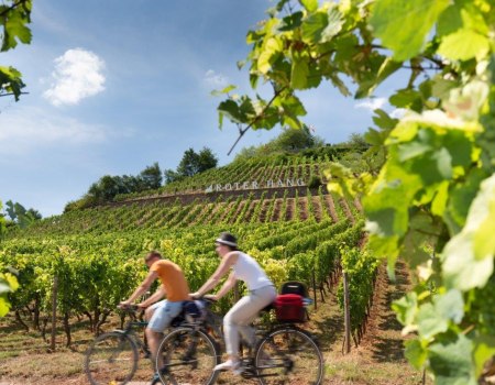 Radeln an der berühmten Weinlage "Roter Hang", © Georg Knoll
