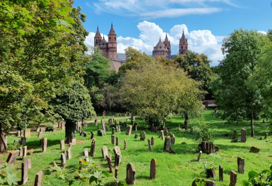 Jewish cemetery “Heiliger Sand” Worms, © CCO 4.0