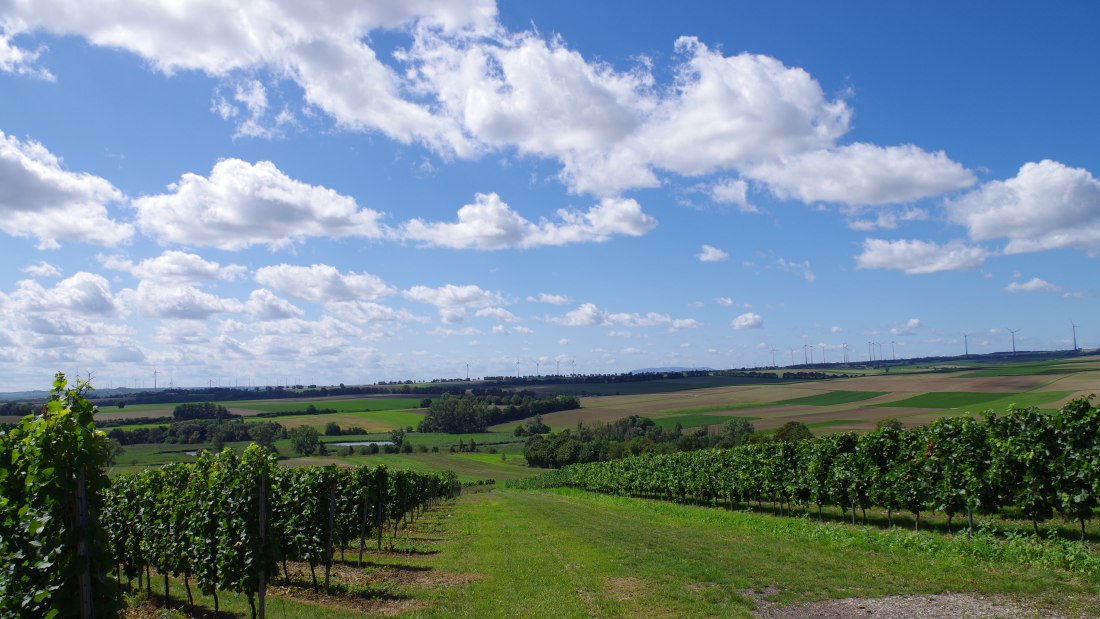 04_weinberge, © Weingut Bernhard