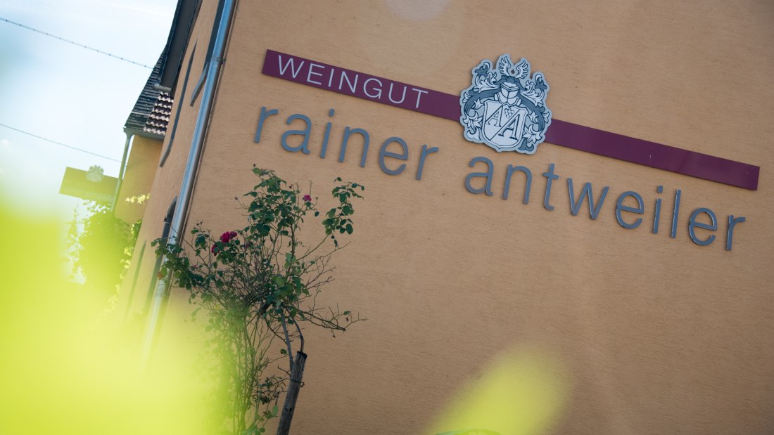 winery-antweiler4, © Weingut Antweiler