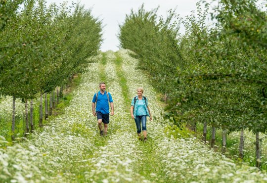 Hiking in the orchard, © Dominik Ketz