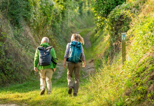 Hiking couple hiking trail Hiwweltour Westerberg, © © Dominik Ketz