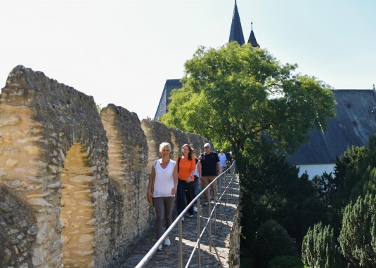 Guided tour of the battlements