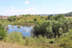 Aussicht auf den alten Steinbruch © Rheinhessen-Touristik GmbH