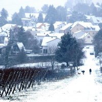 2018 (3) Winter © Weingut Butzbach