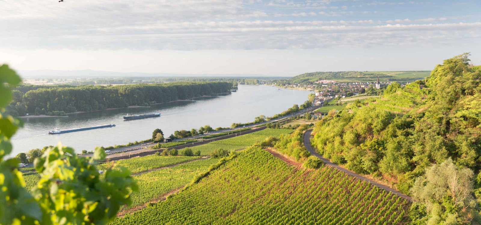 Nierstein Blick, © Georg Knoll