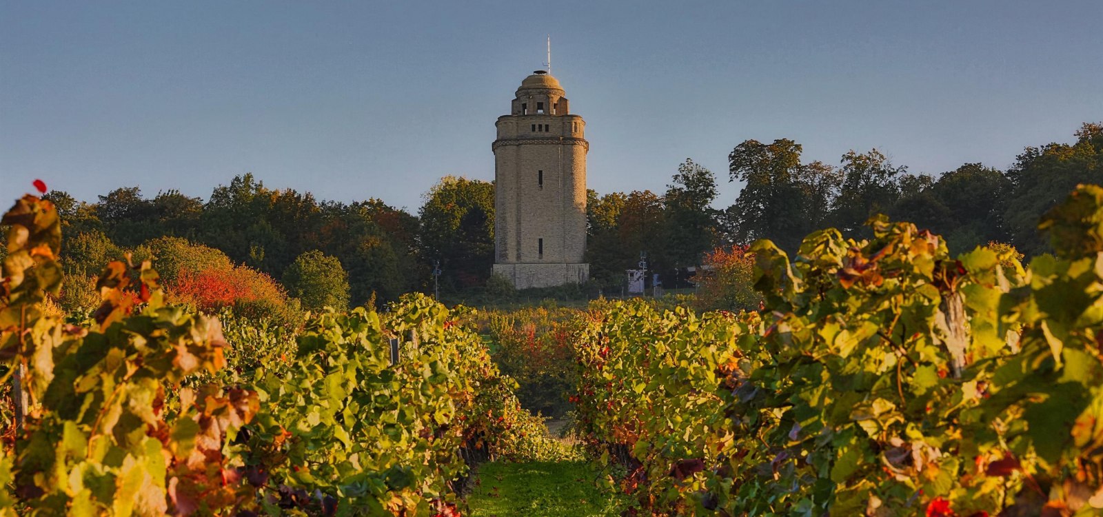 Bismarck tower with view from the vineyards