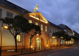 Landesmuseum Mainz