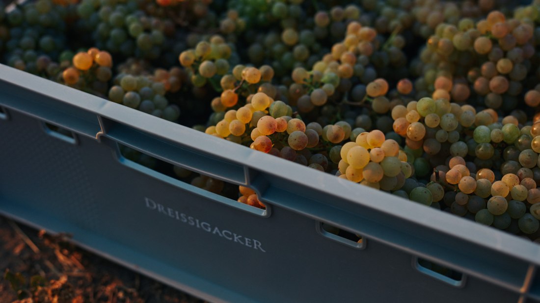 © Weingut Dreissigacker