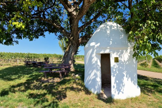 Trullo bij de Walnotenboom in Flörsheim-Dalsheim, © CCO 4.0