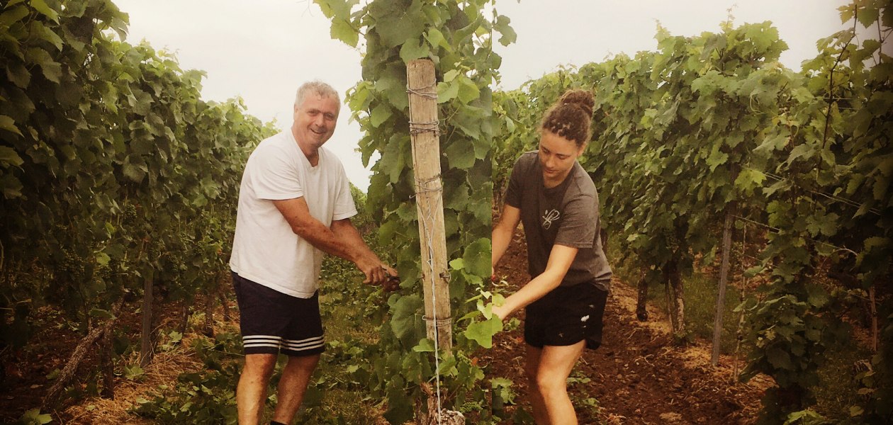 Weinmacher, © Weingut Sans-Lorch