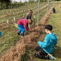 Kinderwingert_bodenarbeiten