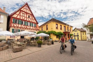 Met de fiets op de markt in Nierstein, © Dominik Ketz