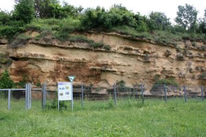 Naturdenkmal Weinheimer Trift