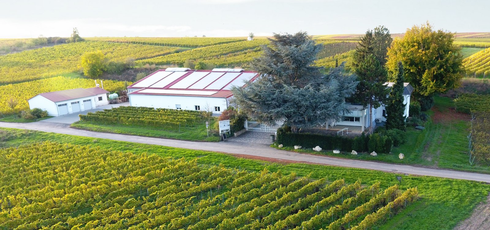 Weingut Drohnenaufnahme, © Weingut Kaltenthaler