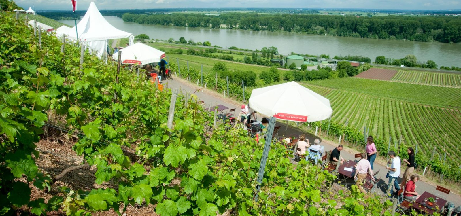 3475-wijnpresentatie-op-de-rode-piste-ullrich-schaars-rheinhessenwein-ev, © Ullrich Knapp / Rheinhessenwein eV