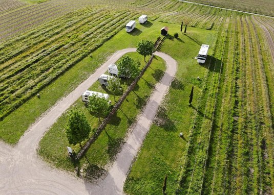 Reisemobilstellplatz Weingut Gehring © Weingut Gehring