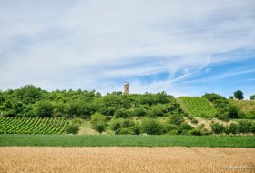 Wartturm in Albisheim © Donnersberg-Touristik-Verband e.V., Florian Trykowski